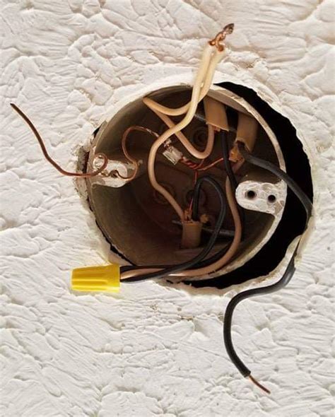 electrical box has two black and two white wires|electrical box wiring black and white.